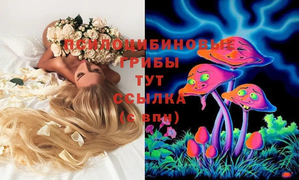стафф Беломорск