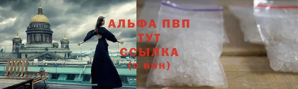 стаф Белоозёрский
