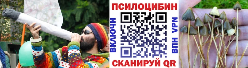 Псилоцибиновые грибы GOLDEN TEACHER  нарко площадка официальный сайт  Онега  MEGA ТОР 