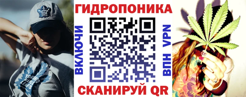 где купить наркоту  Онега  Бошки Шишки семена 